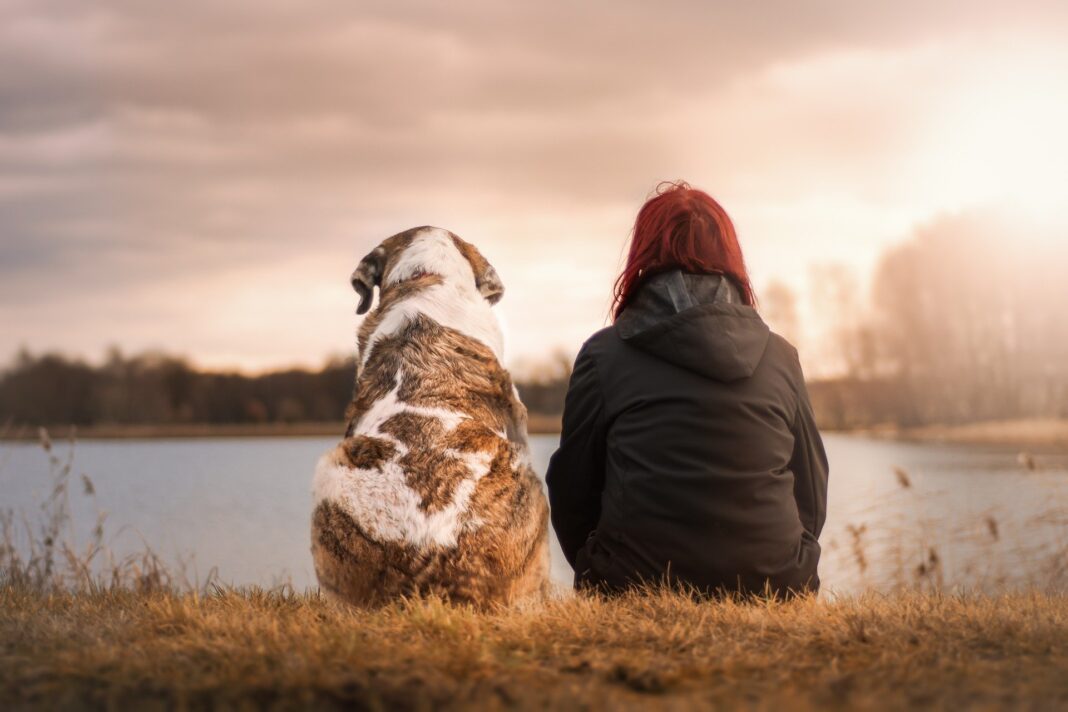 Perro con su dueña sentados cerca de un lago