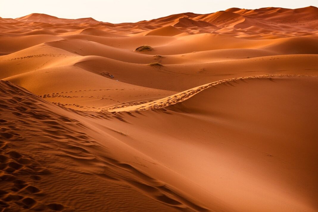 dunas del desierto